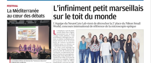 La Provence vignette