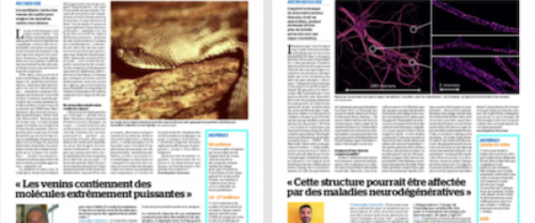 Couv Marseillaise x 2