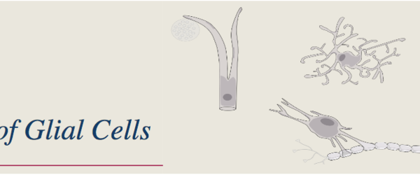 french club glial cells