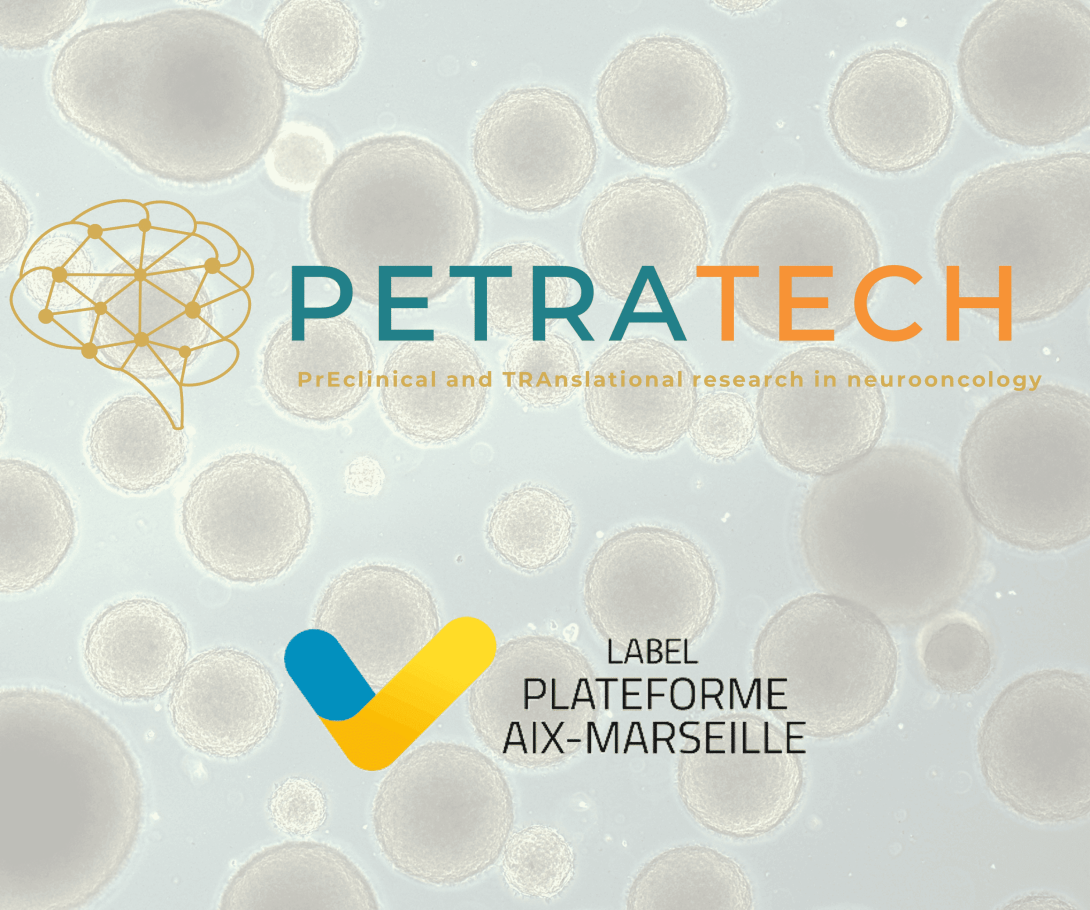Logo PETRATECH label